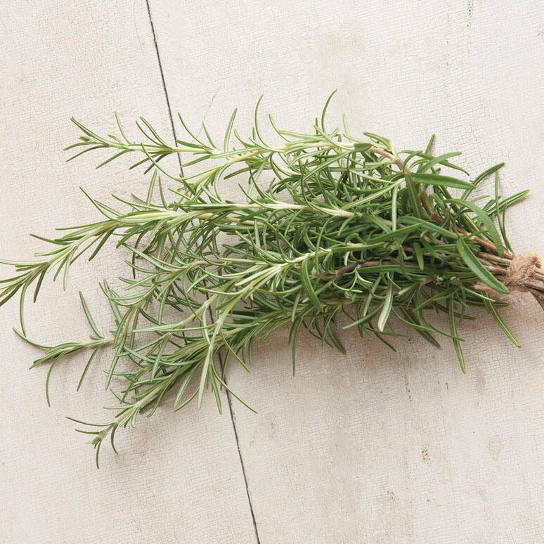 Herb Garden
