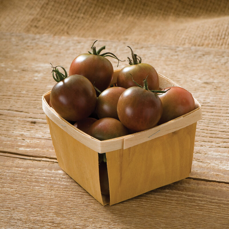 Black Prince Cherry Tomato