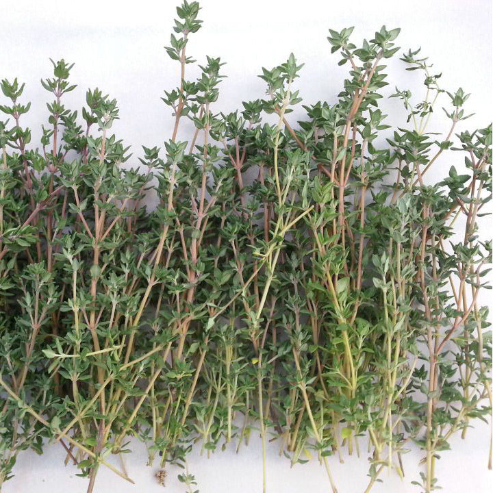 Thyme