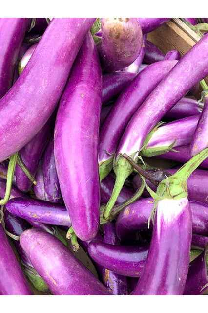 Asian Eggplant