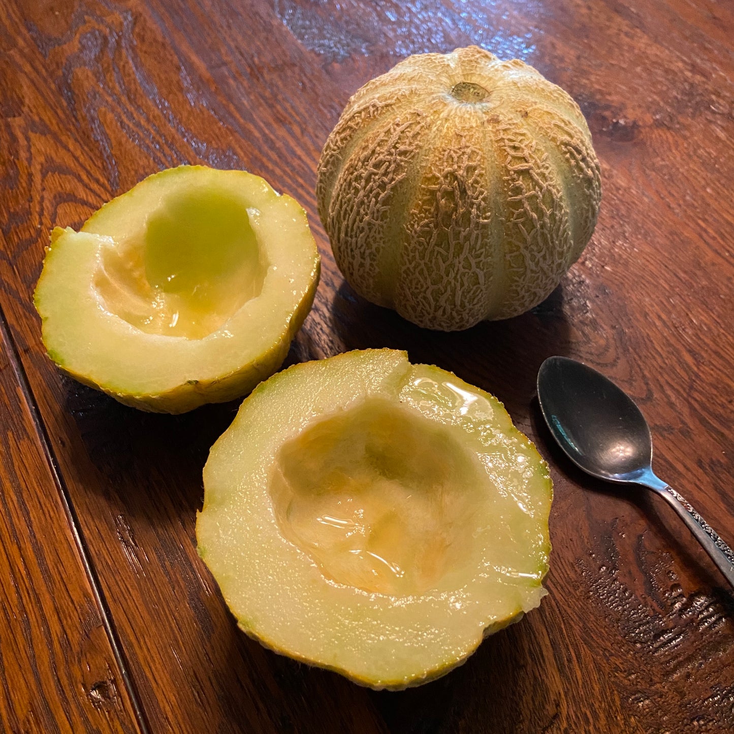 Eden Gem Melon