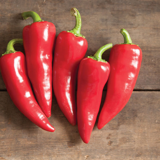 Fresno Pepper