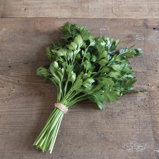 Giant of Italy Parsley