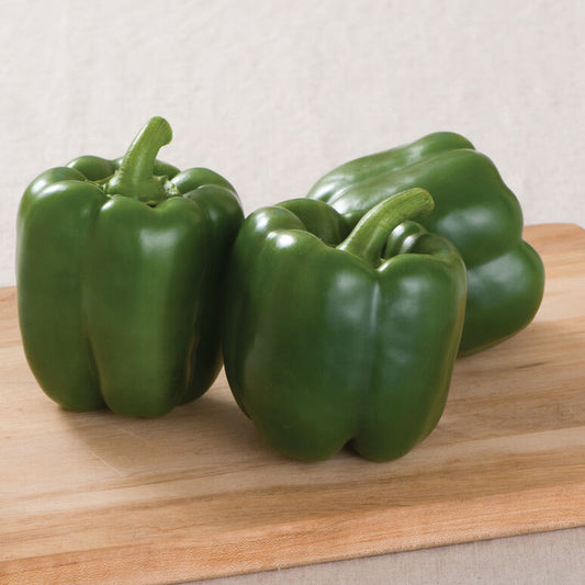 Paladin Bell Pepper