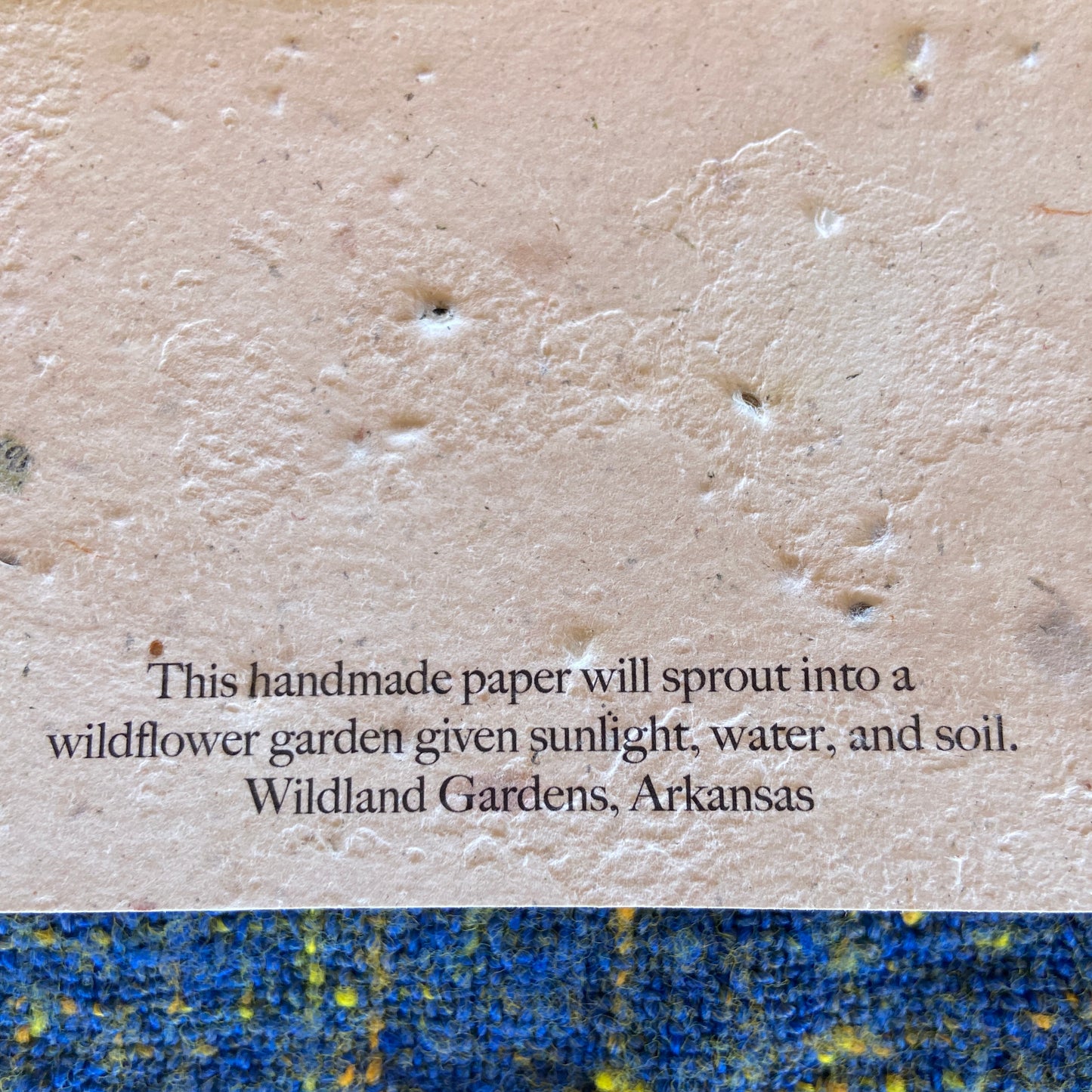 Handmade Paper Wildflower Seed Cards