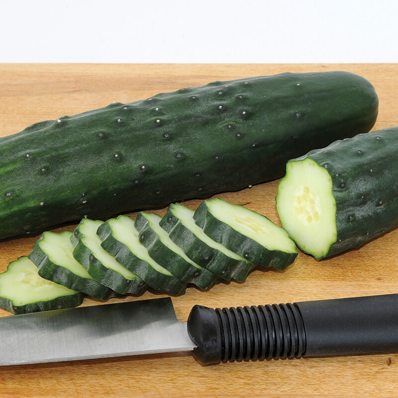 Marketmore Cucumber